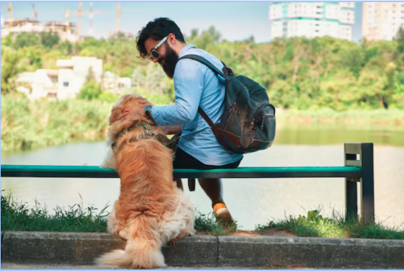 Key Benefits of Choosing a Professional Dog Board and Train Service